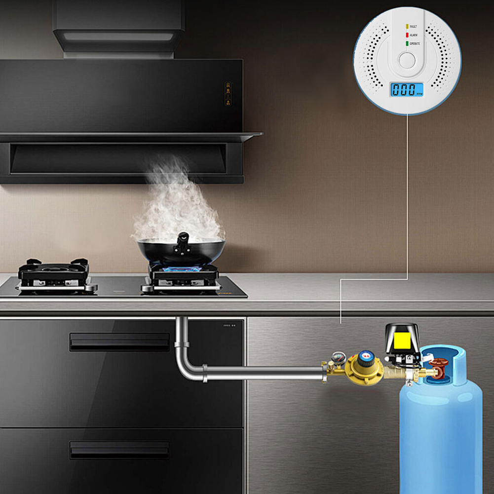 Digital Carbon Monoxide Detect - огляд і ціна Smoke Leak Detector